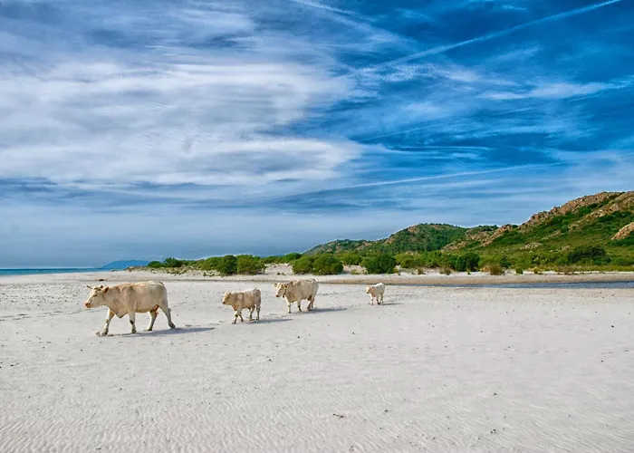 Casa Arcu De Chelu * Santa Lucia
